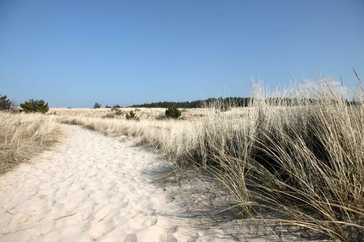 La Tulipe Leilighet Egmond aan den Hoef Eksteriør bilde